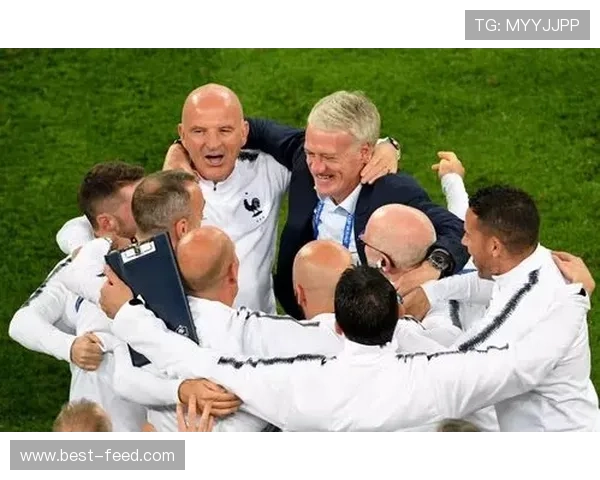 阿内尔卡力挺齐祖接班德尚帅位